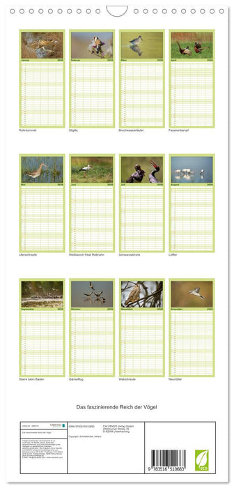 Das faszinierende Reich der Vögel (CALVENDO Familienplaner 2026)