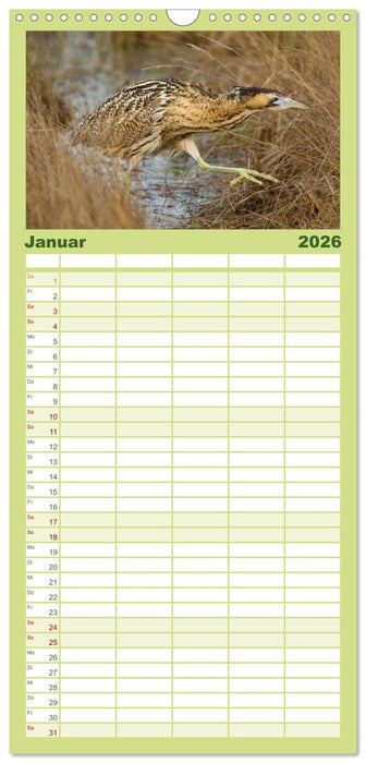 Das faszinierende Reich der Vögel (CALVENDO Familienplaner 2026)