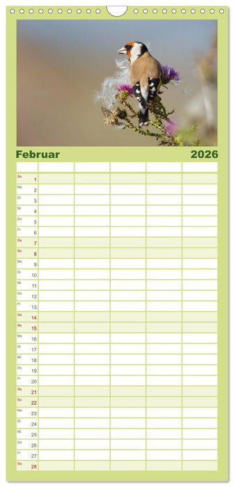 Das faszinierende Reich der Vögel (CALVENDO Familienplaner 2026)