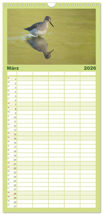 Das faszinierende Reich der Vögel (CALVENDO Familienplaner 2026)