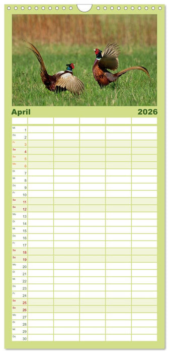 Das faszinierende Reich der Vögel (CALVENDO Familienplaner 2026)