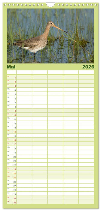 Das faszinierende Reich der Vögel (CALVENDO Familienplaner 2026)