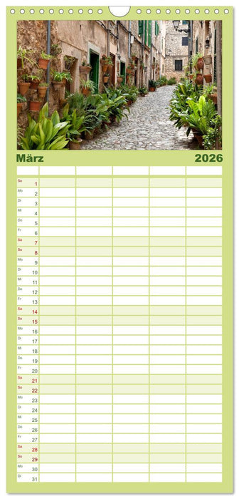 Wege durchs neue Jahr (CALVENDO Familienplaner 2026)