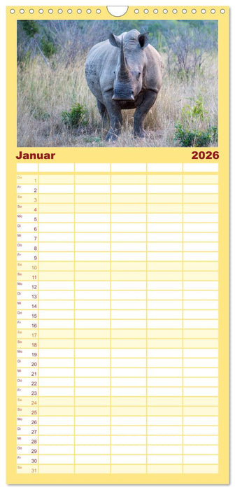 Südafrika - Big 5 und mehr (CALVENDO Familienplaner 2026)