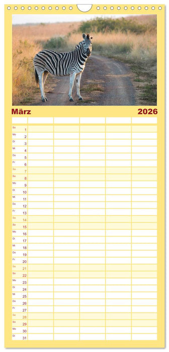 Südafrika - Big 5 und mehr (CALVENDO Familienplaner 2026)