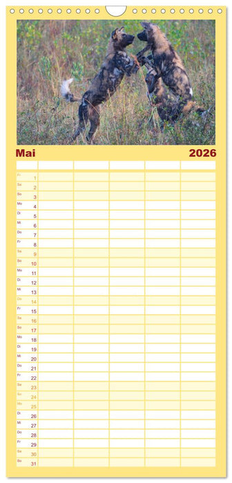 Südafrika - Big 5 und mehr (CALVENDO Familienplaner 2026)