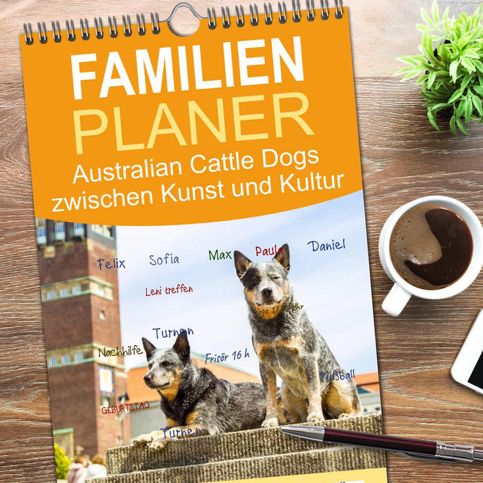 Australian Cattle Dogs zwischen Kunst und Kultur (CALVENDO Familienplaner 2026)