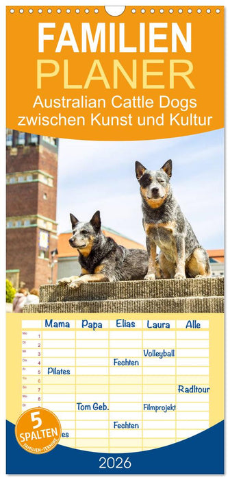 Australian Cattle Dogs zwischen Kunst und Kultur (CALVENDO Familienplaner 2026)