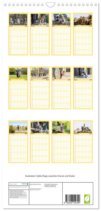 Australian Cattle Dogs zwischen Kunst und Kultur (CALVENDO Familienplaner 2026)