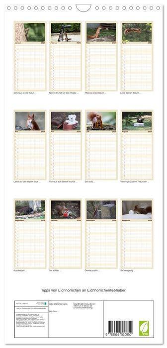 Tipps von Eichhörnchen an Eichhörnchenliebhaber (CALVENDO Familienplaner 2026)