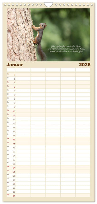 Tipps von Eichhörnchen an Eichhörnchenliebhaber (CALVENDO Familienplaner 2026)