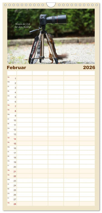 Tipps von Eichhörnchen an Eichhörnchenliebhaber (CALVENDO Familienplaner 2026)