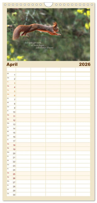 Tipps von Eichhörnchen an Eichhörnchenliebhaber (CALVENDO Familienplaner 2026)