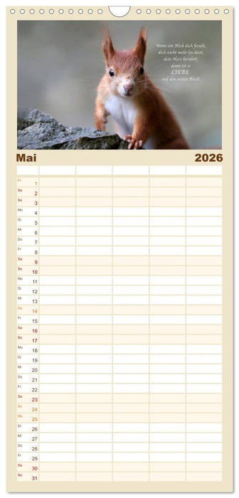 Tipps von Eichhörnchen an Eichhörnchenliebhaber (CALVENDO Familienplaner 2026)