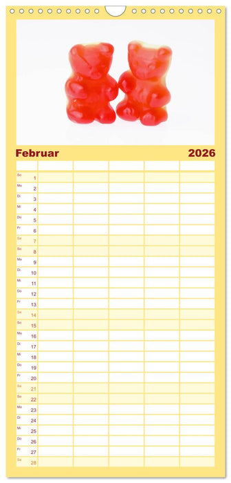 Alles in Rot (CALVENDO Familienplaner 2026)