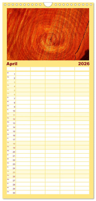 Alles in Rot (CALVENDO Familienplaner 2026)