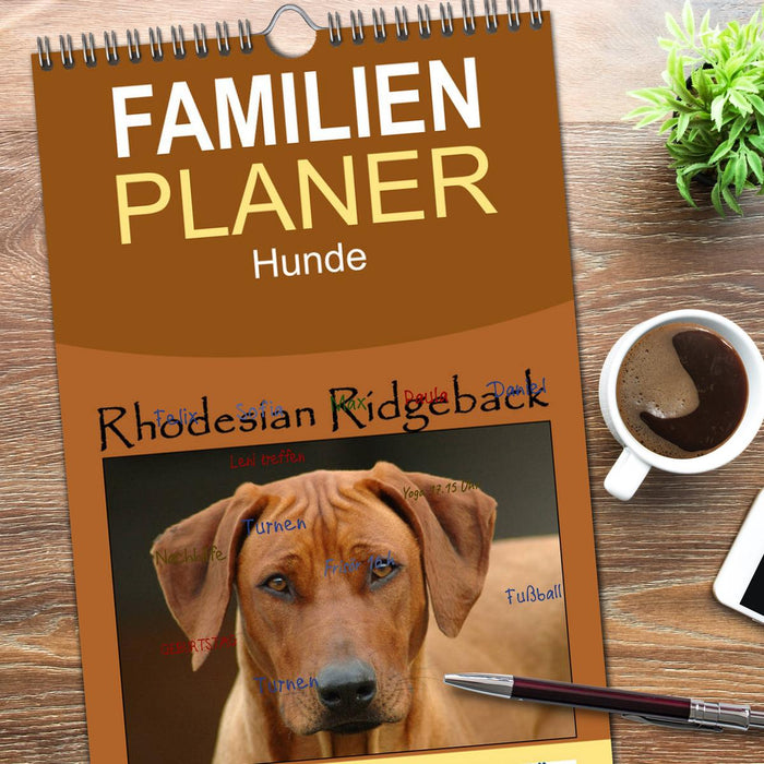 Rhodesian Ridgeback Terminkalender (CALVENDO Familienplaner 2026)