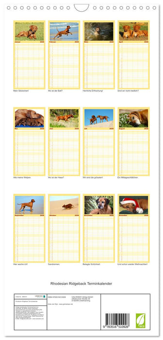 Rhodesian Ridgeback Terminkalender (CALVENDO Familienplaner 2026)