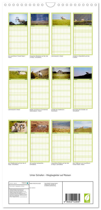 Unter Schafen - Wegbegleiter auf Reisen (CALVENDO Familienplaner 2026)