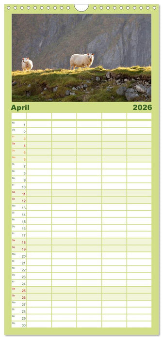 Unter Schafen - Wegbegleiter auf Reisen (CALVENDO Familienplaner 2026)