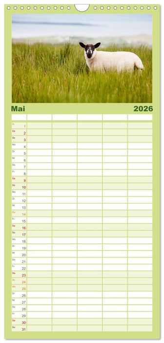 Unter Schafen - Wegbegleiter auf Reisen (CALVENDO Familienplaner 2026)