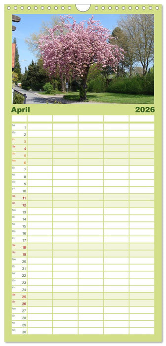 Bad Sassendorf (CALVENDO Familienplaner 2026)