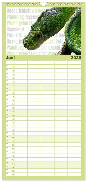 Mein wildes Krafttier voller Achtsamkeit (CALVENDO Familienplaner 2026)