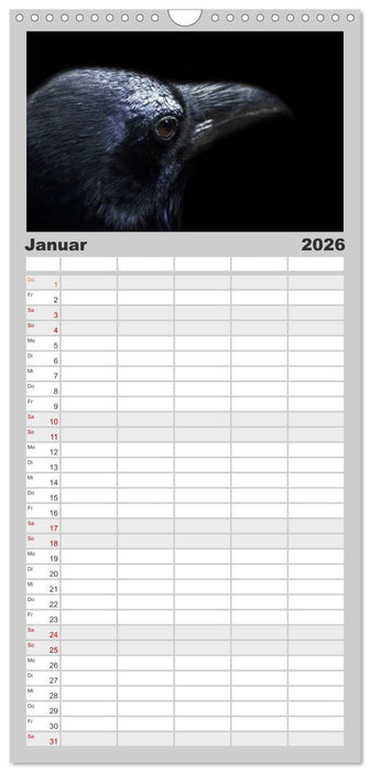 AugenZeugen (CALVENDO Familienplaner 2026)