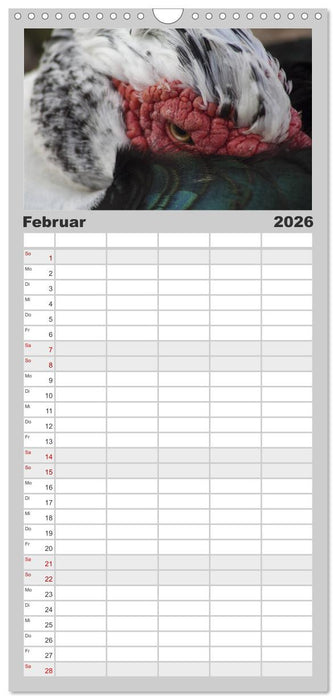 AugenZeugen (CALVENDO Familienplaner 2026)