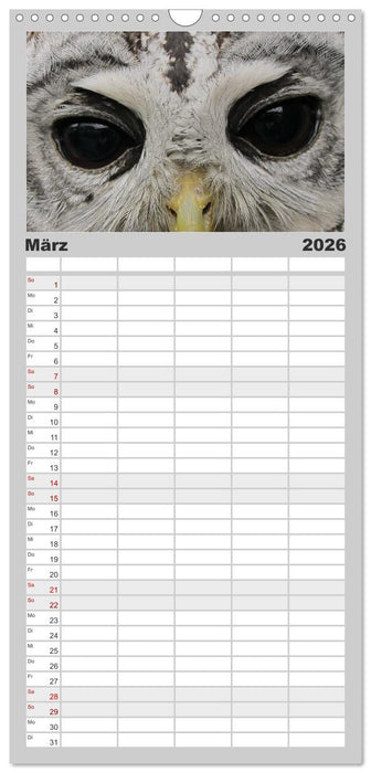 AugenZeugen (CALVENDO Familienplaner 2026)