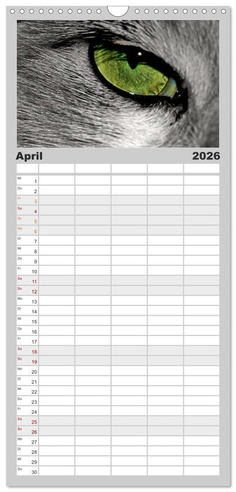 AugenZeugen (CALVENDO Familienplaner 2026)