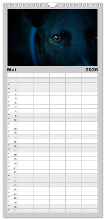 AugenZeugen (CALVENDO Familienplaner 2026)