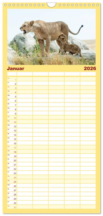 Die Magie der Könige der Tiere (CALVENDO Familienplaner 2026)