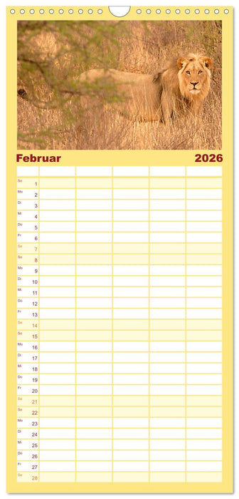 Die Magie der Könige der Tiere (CALVENDO Familienplaner 2026)