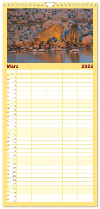 Die Magie der Könige der Tiere (CALVENDO Familienplaner 2026)