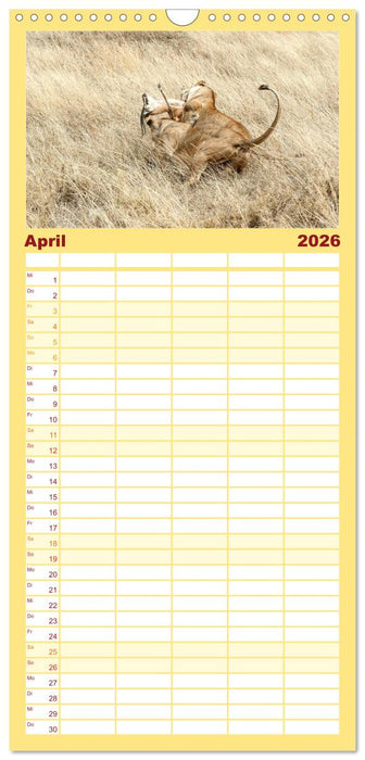 Die Magie der Könige der Tiere (CALVENDO Familienplaner 2026)