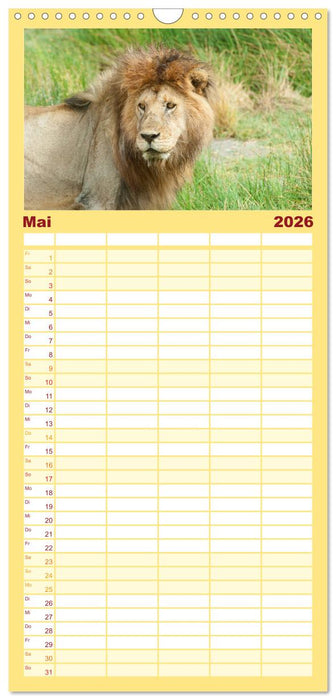 Die Magie der Könige der Tiere (CALVENDO Familienplaner 2026)