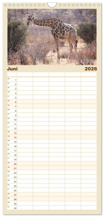 Namibia - Sehnsucht der Ferne (CALVENDO Familienplaner 2026)