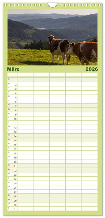 Schönes Sauerland (CALVENDO Familienplaner 2026)