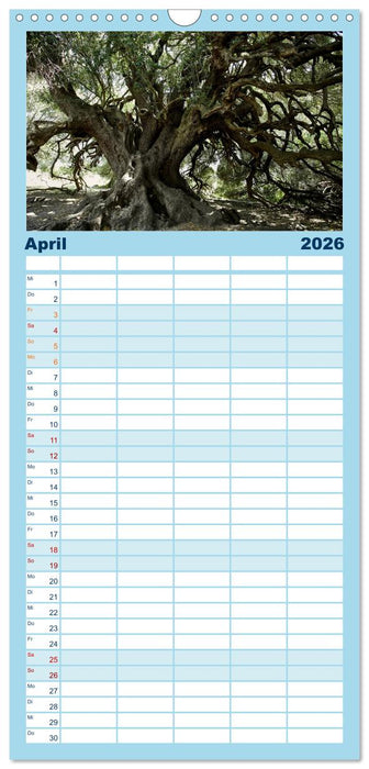 Sardinien - Der Norden (CALVENDO Familienplaner 2026)