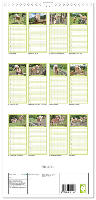 Alpenpferde (CALVENDO Familienplaner 2026)
