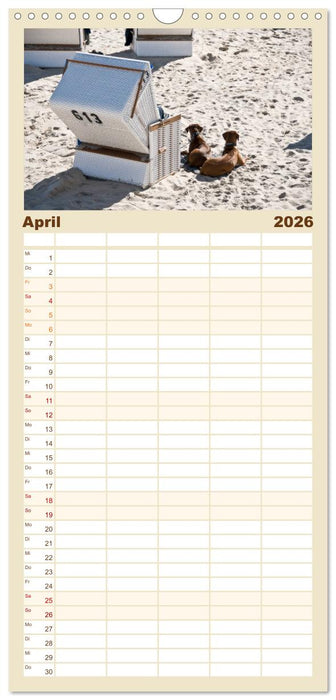 Sylt-Momente (CALVENDO Familienplaner 2026)