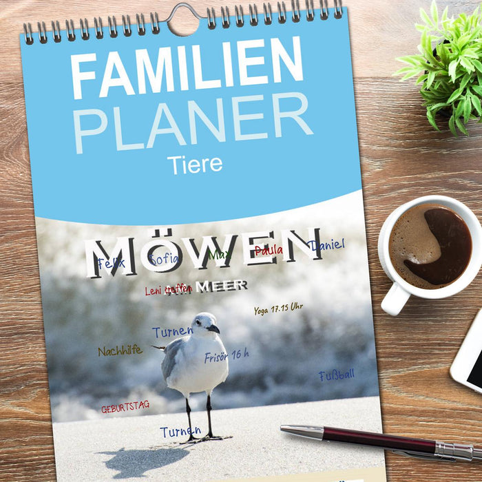 Möwen am Meer (CALVENDO Familienplaner 2026)