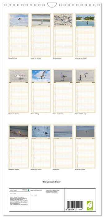 Möwen am Meer (CALVENDO Familienplaner 2026)