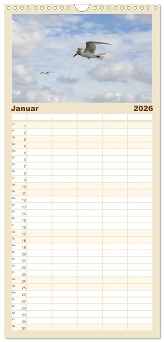 Möwen am Meer (CALVENDO Familienplaner 2026)