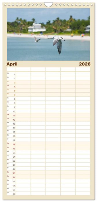 Möwen am Meer (CALVENDO Familienplaner 2026)