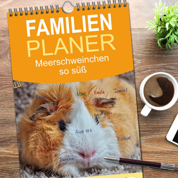 Meerschweinchen - so süß (CALVENDO Familienplaner 2026)