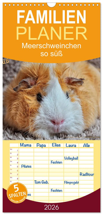 Meerschweinchen - so süß (CALVENDO Familienplaner 2026)