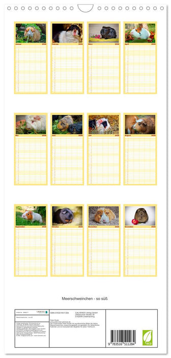 Meerschweinchen - so süß (CALVENDO Familienplaner 2026)