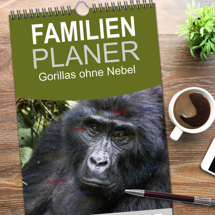 Gorillas ohne Nebel (CALVENDO Familienplaner 2026)